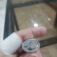 انگشتر شجر|جواهرات|میبد, |دیوار