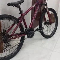 دوچرخه فلش