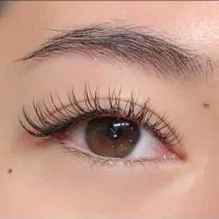 نیاز مند مدل انواع لیفت مژه ،لیفت ابرو ، کلاسیک|خدمات آرایشگری و زیبایی|نجف‌آباد, حومه نجف آباد|دیوار