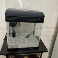 اکواریوم ماهیران