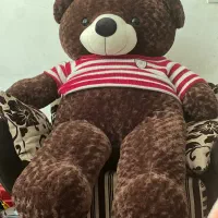 خرس بزرگ دومتری فسا