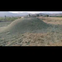 یونجه