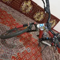 دوچرخه|دوچرخه، اسکیت، اسکوتر|کبودرآهنگ, |دیوار