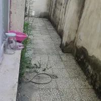 رهن آپارتمان ۶۰ متری ۱ خوابه همکف در پل تالشان|اجارهٔ آپارتمان|رشت, پل تالشان|دیوار