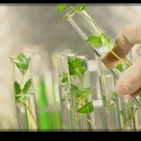 مورد نیاز کارشناسی کشاورزی گیاه پزشکی