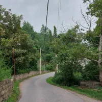 فروش زمین در منطقه خوش آب و هوا و جنگلی گلیا بابل
