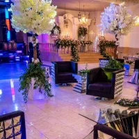 دیجی|خدمات پذیرایی، مراسم|ارومیه, |دیوار