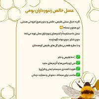 عسل طبیعی کوهستان