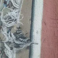 فرش فانتزی  به همراه ۲پادری رایگان|فرش|پاکدشت, پاکدشت (مامازند)|دیوار