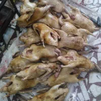 محصولات محلی|خوردنی و آشامیدنی|رشت, بوسار|دیوار