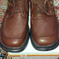کفش چرم مردانه|کیف، کفش، کمربند|تبریز, |دیوار
