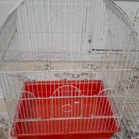 سه عدد قفس عروس هلندی