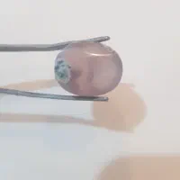 تسبیح شاه مقصود افغانستان و نگین شجر سوسنی|کلکسیون اشیاء عتیقه|مشهد, کارمندان دوم|دیوار