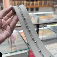 پابند استیل (خلخال) / رنگ ثابت|بدلیجات|نیشابور, دارایی|دیوار