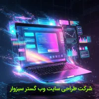 طراحی سایت در سبزوار ، جلسه حضوری و همراهی تا فروش