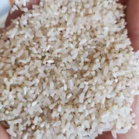 برنج لاشه (نیمدانه) فجر سوزنی معطر اعلی بشرط پخت|خوردنی و آشامیدنی|گرگان, |دیوار
