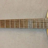 گیتار الحمبرا 2c cedro اسپانیایی|گیتار، بیس، امپلیفایر|تهران, سلسبیل شمالی|دیوار