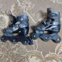 اسکیت چرخ دار