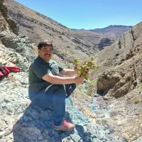 درست بخوانید اگهی رو