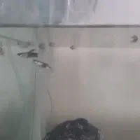 ماهی گوپی|ماهی|شیراز, احمدآباد|دیوار