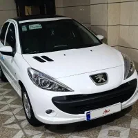 207 پانوراما 1402 خشک