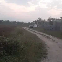 فروش فوری زمین در آقاسید شریف، زیر قیمت|فروش زمین و ملک کلنگی|شفت, |دیوار