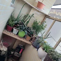 معاوضه آپارتمان 63متری با ماشین سنگین