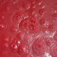 رب خانگی