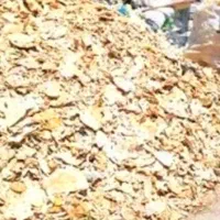 نان خشک فروش فوری