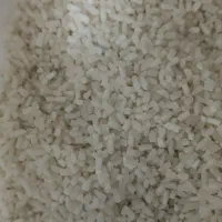 برنج هاشمی سورتینگ زده