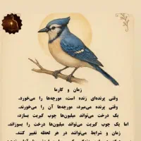 پول ۶ ماهه میخوام