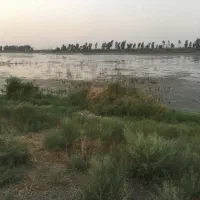 ۱۹۰هکتار/بر خیابان اصلی/۴۰۰۰متر بر/علی آباد|فروش دفتر صنعتی، کشاورزی، تجاری|گرگان, |دیوار