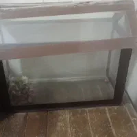 آکواریوم کوچیک