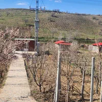 خانه باغ ۳۵ متری باغ۱۰۰۰ متری|فروش خانه و ویلا|بجنورد, |دیوار