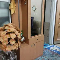 جاکفشی