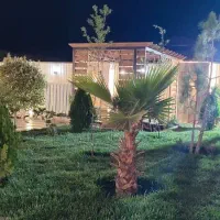 روروءک سه حالته و میز غذای کودک