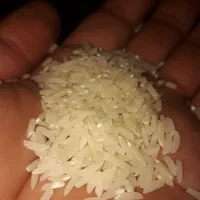 برنج هاشمی دره رود|خوردنی و آشامیدنی|دره رود, |دیوار