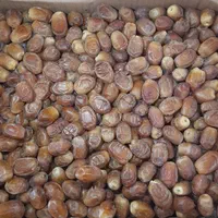 خرما و رطب به صورت کلی|خوردنی و آشامیدنی|مشهد, کارمندان دوم|دیوار