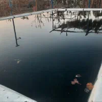 خانه،باغ ویلا|فروش خانه و ویلا|بردسیر, |دیوار