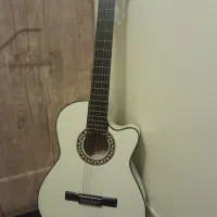 گیتار برند دیاموند