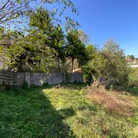 مسکونی در لفور|فروش زمین و ملک کلنگی|آلاشت, |دیوار