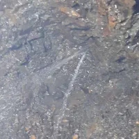 کار چاه کنی و تخریب و پی کنی با کل وسایل کار|خدمات پیشه و مهارت|دیواندره, |دیوار