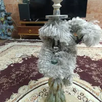 قلیان برنجی|کلکسیون و سرگرمی|یزد, |دیوار
