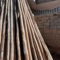 خریدار انوع چوب