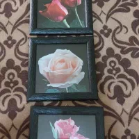 پروانه های ۳ عددی استیل وتابلوسه تیکه|صنایع دستی و سایر لوازم تزئینی|نورآباد, |دیوار