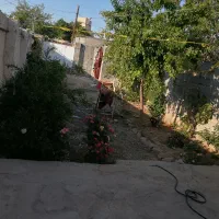 خانه-باغ