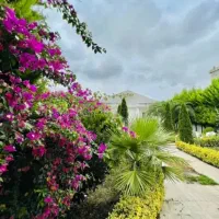 ویلاباغ۷۵۰متری مشجرمخصوص اصفهانیا ویلاباغ دوست|فروش خانه و ویلا|چمستان, |دیوار