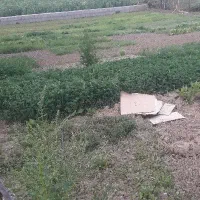 علف تراشی مناسب