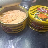 تن ماهی درجه یک قیمت مناسب