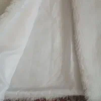 پالتو خز استر دار|لباس|شیروان (خراسان), |دیوار